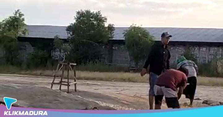 Fasilitasi Pedagang, Diskopindag Sampang Bangun Tangga Khusus Bongkar Muat Hewan&nbsp;Ternak