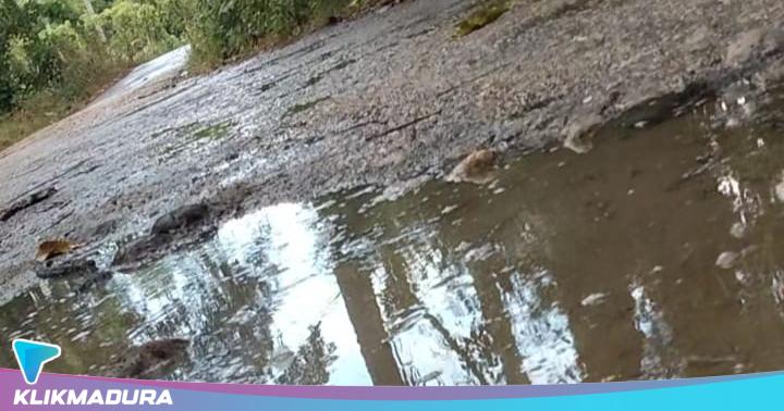 Musim Hujan, Jalan Berlubang di Desa Karduluk, Sumenep Mendadak “Jadi Kolam&nbsp;Ikan”